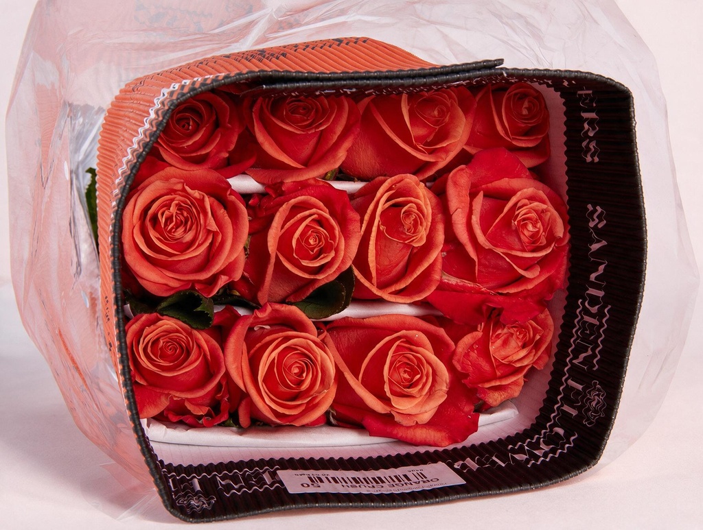 Rose Orange Crush