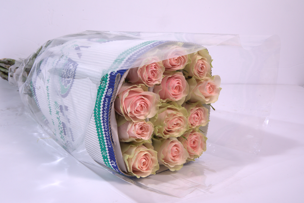frutteto Roses