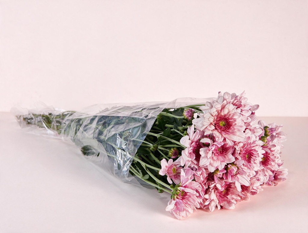 Chry Pink