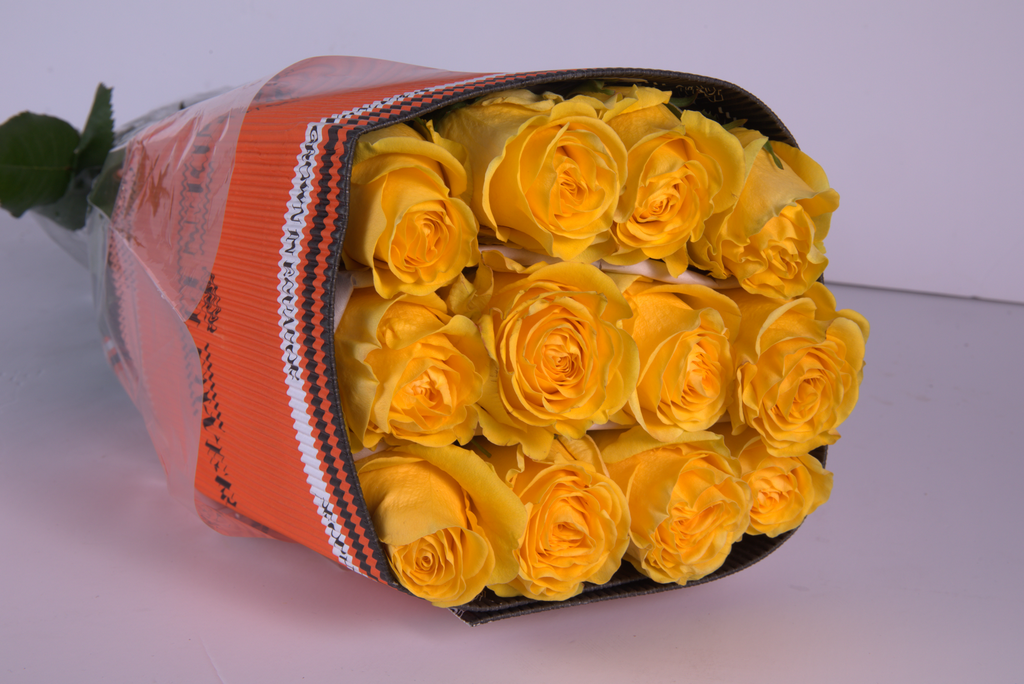 Yellow Roses