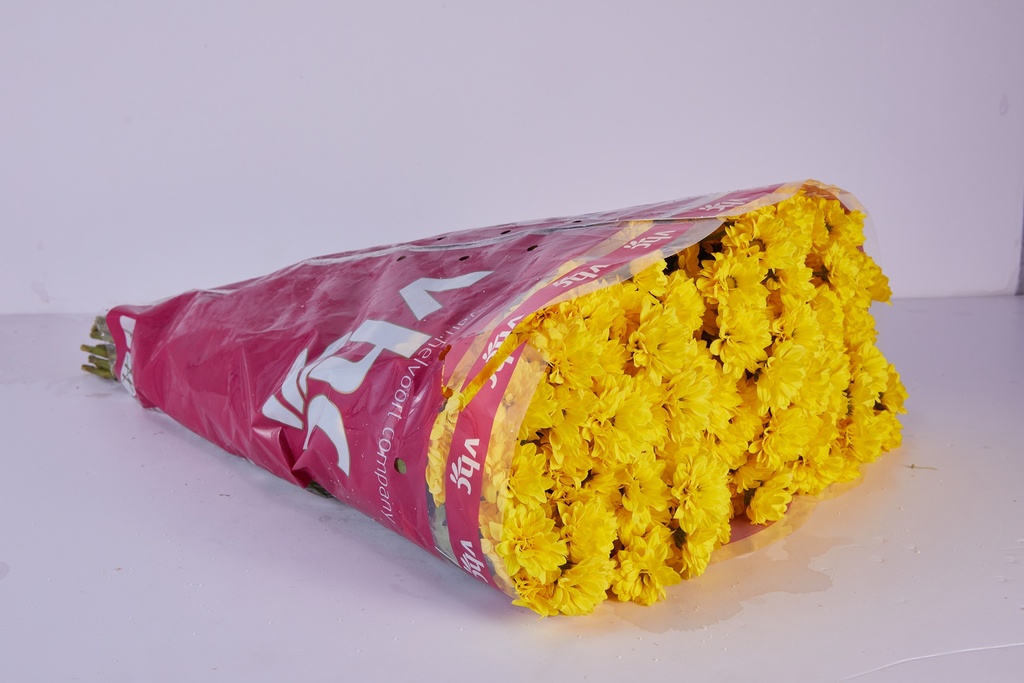 Santini Yellow