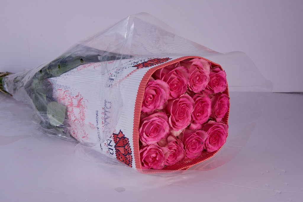 Rose Sweet Unique